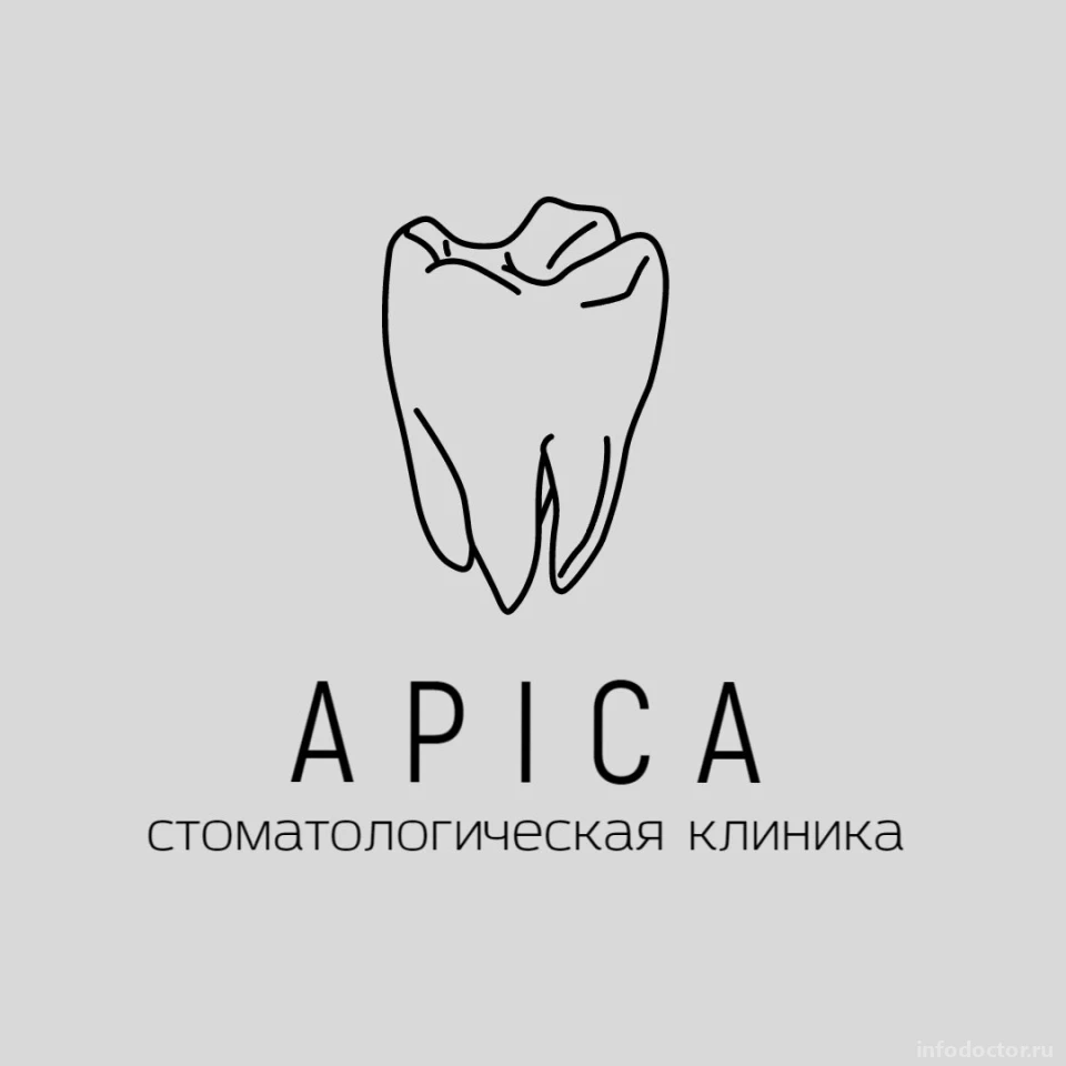 Apica: запись на прием, телефон, адрес, отзывы цены и скидки на  InfoDoctor.ru